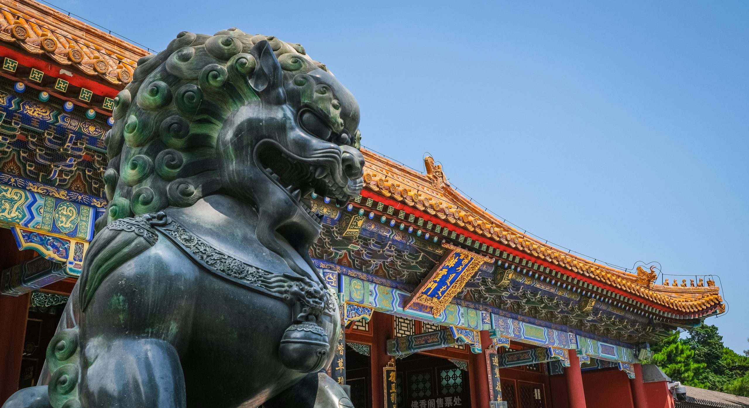 北京注册公司一站式服务！地址挂靠+办理执照+银行开户+代理记账！
